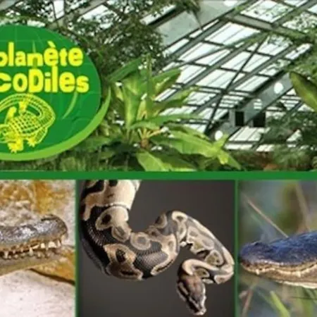 Des Lavandieres En Bordure De Vienne Prázdninový dům *