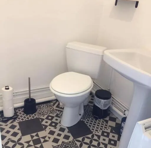 Des Lavandieres En Bordure De Vienne