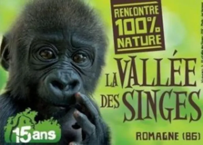 Des Lavandieres En Bordure De Vienne Сasa de vacaciones