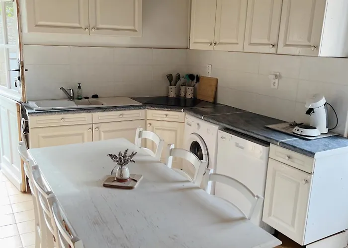 Des Lavandieres En Bordure De Vienne Сasa de vacaciones *